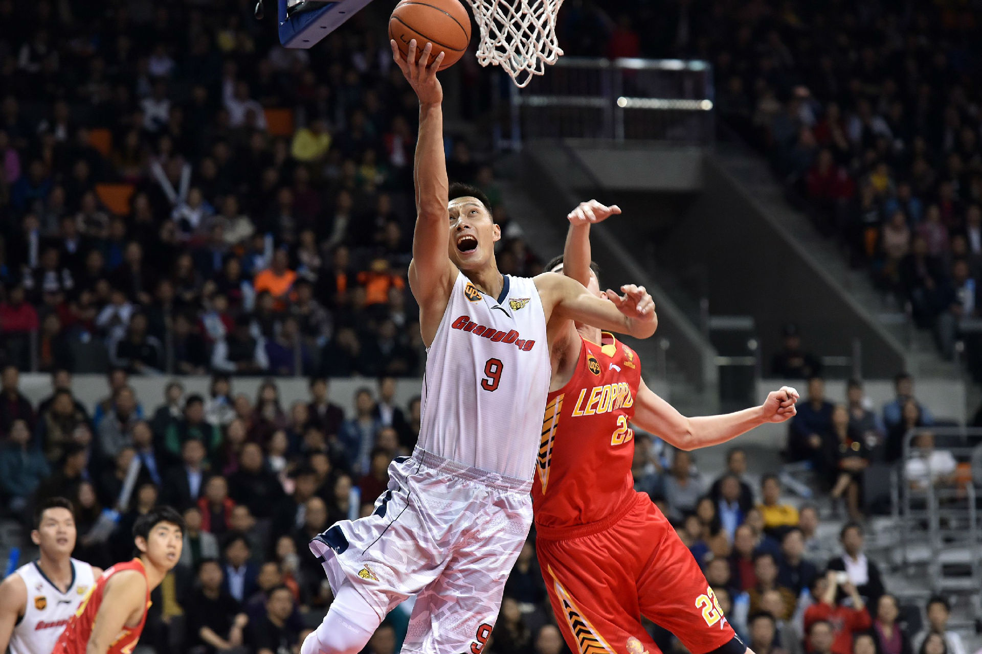 此后虽然仍 此后虽然仍