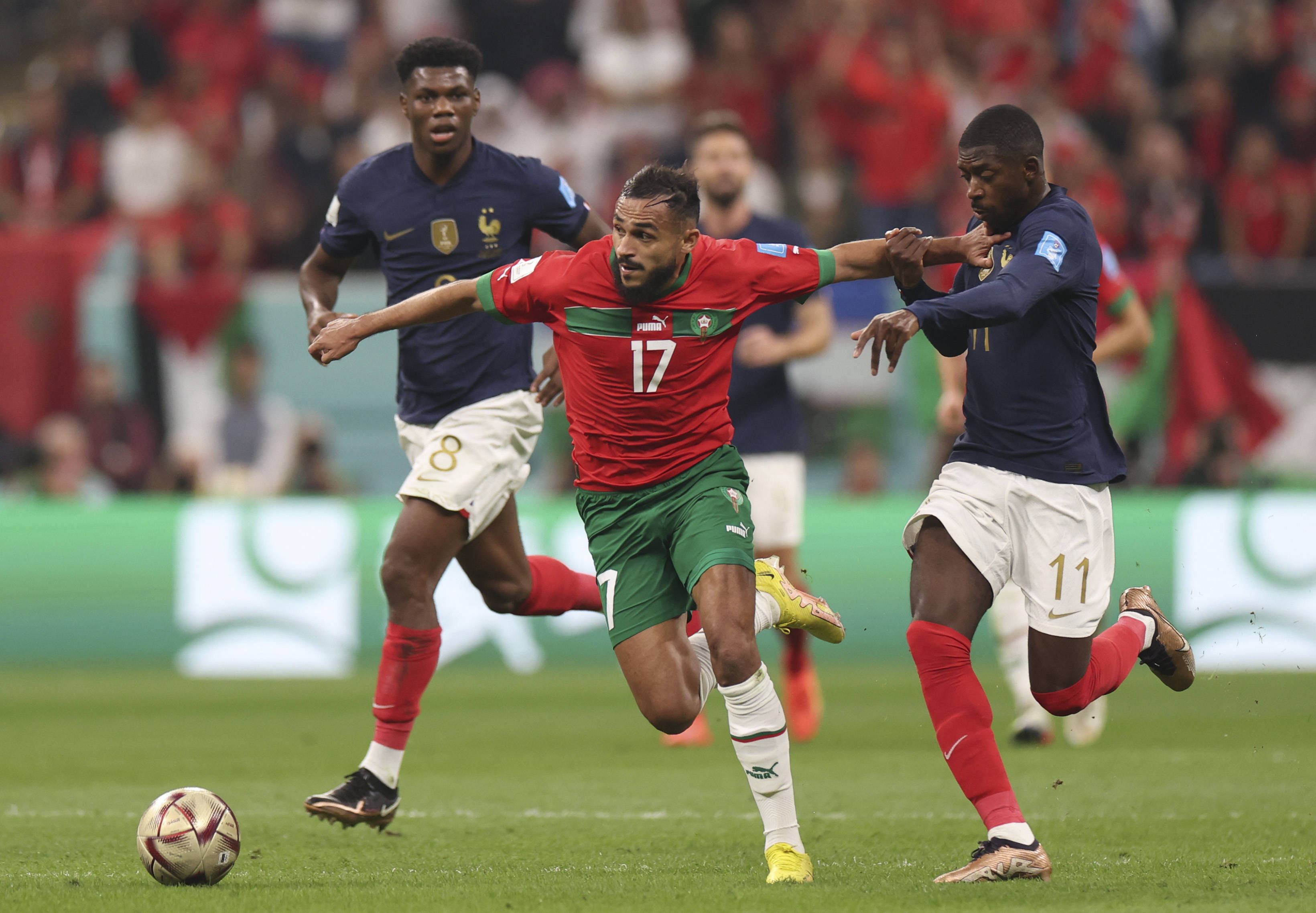 的重要因素 的重要因素