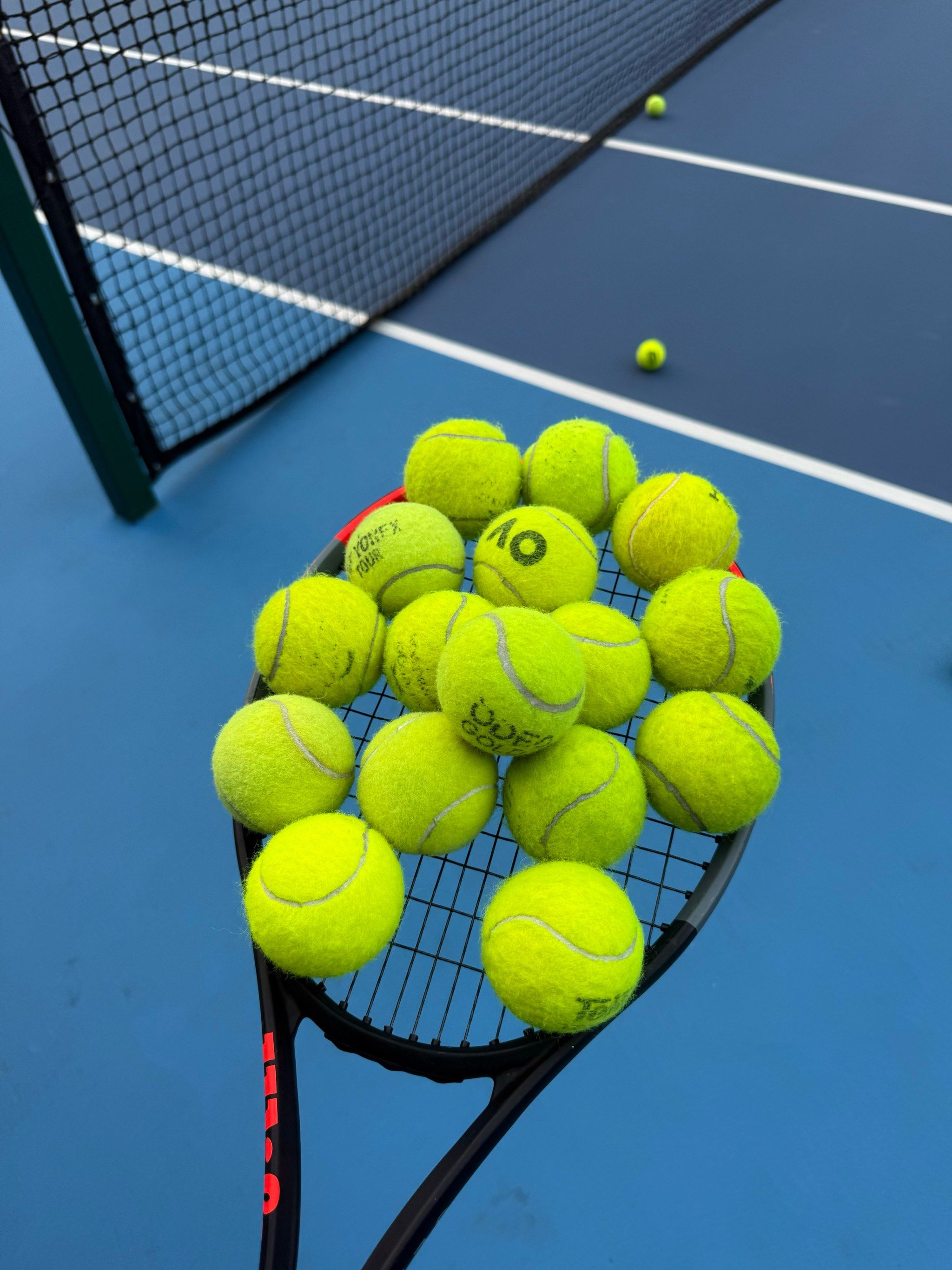 成为逆转的 成为逆转的