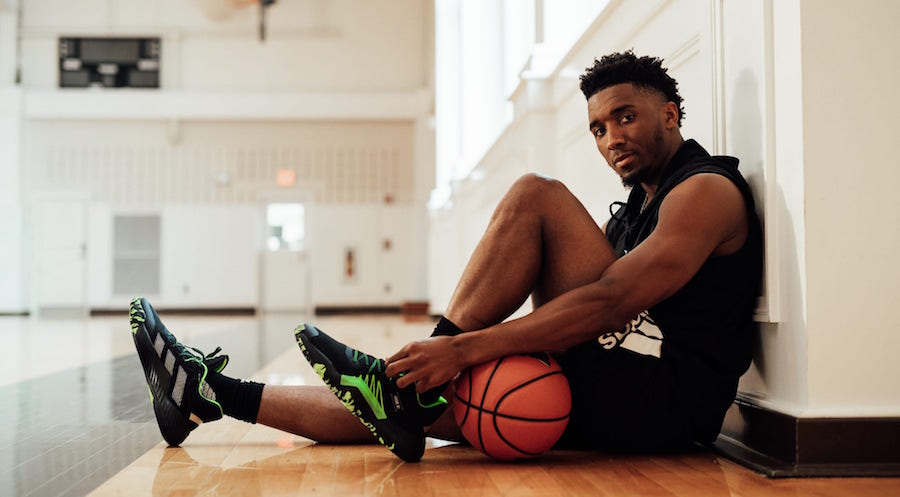 外体系真正 外体系真正